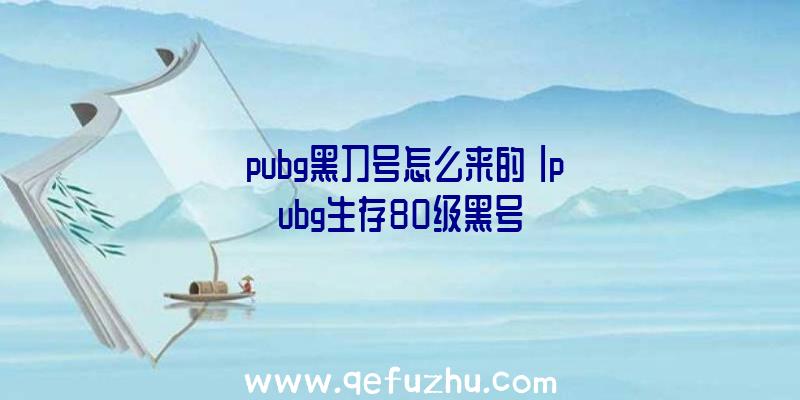 「pubg黑刀号怎么来的」|pubg生存80级黑号